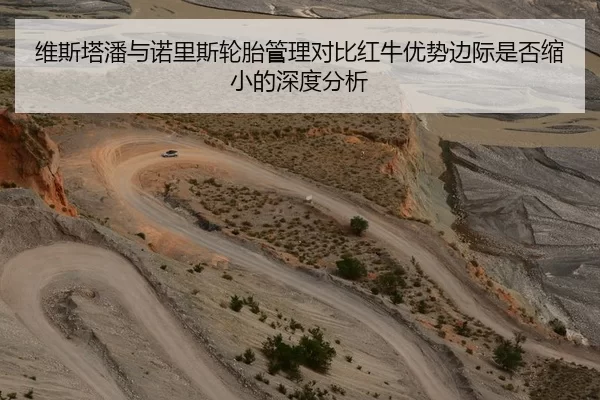 维斯塔潘与诺里斯轮胎管理对比红牛优势边际是否缩小的深度分析