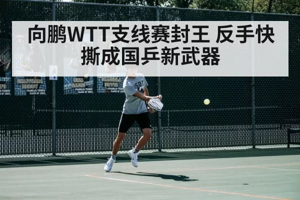 向鹏WTT支线赛封王 反手快撕成国乒新武器